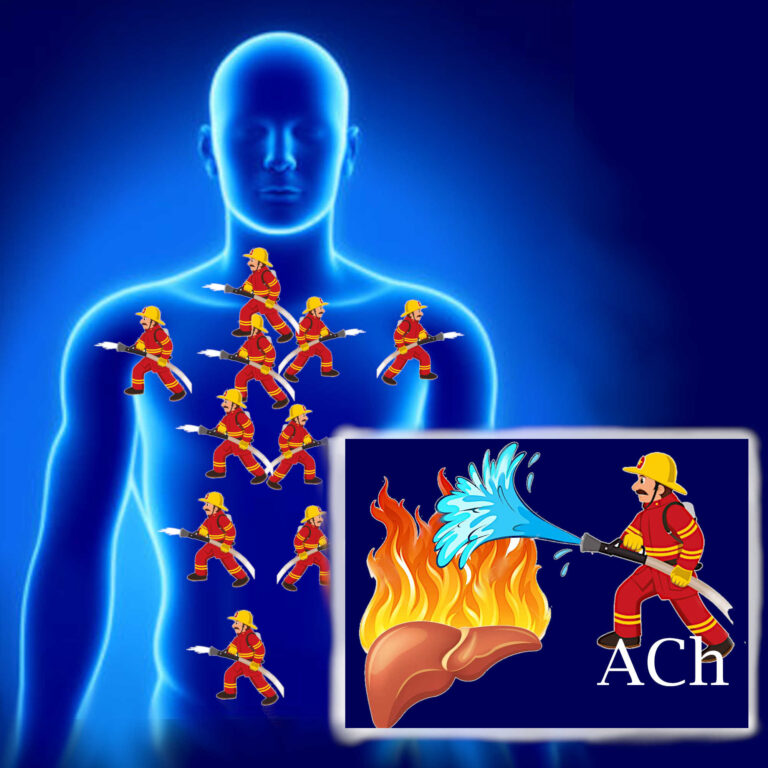 Trening a nerw błędny