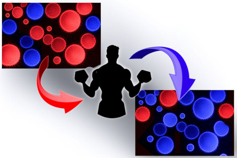 Trening a stres oksydacyjny