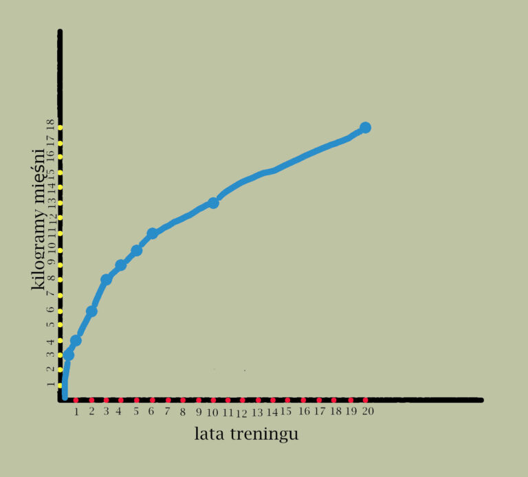 2.Ile mięśni może zbudować osoba trenująca naturalnie?