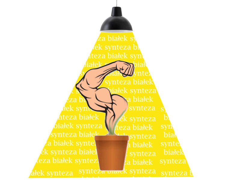 Dlaczego warto trenować siłę? Część 4 – Zalety sylwetkowe treningu „pod siłę” – budowanie masy mięśniowej